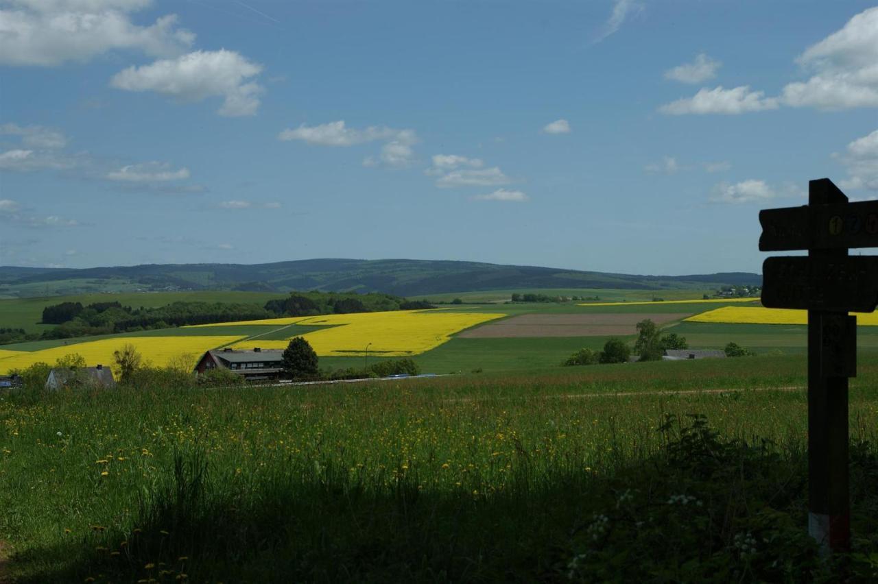 Klein'S Hochwaldscheune Pellingen Dış mekan fotoğraf